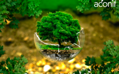 ¿Por qué es importante la sostenibilidad?