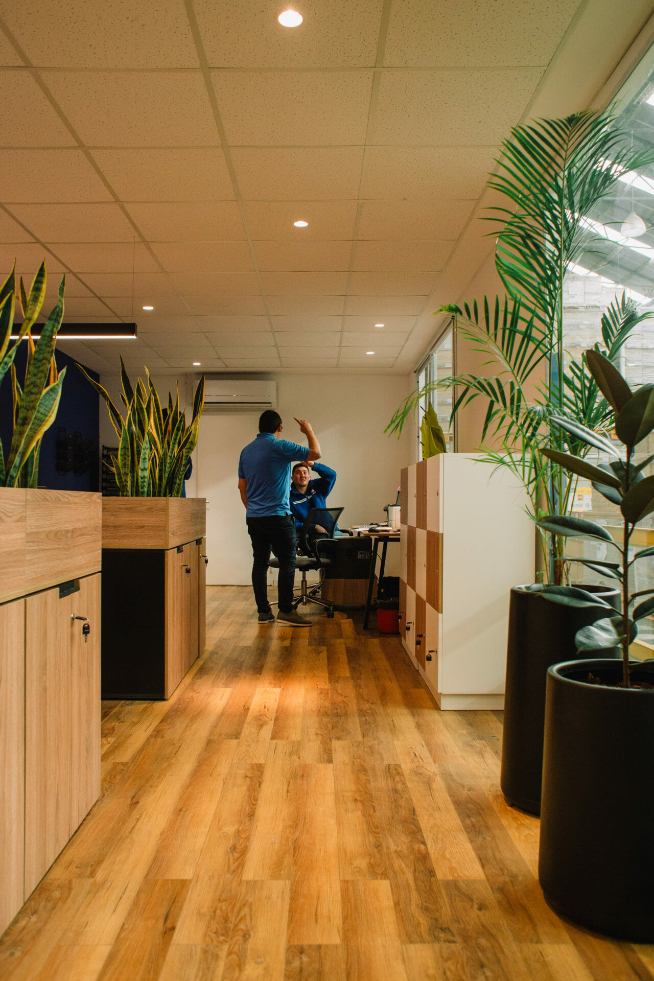 Remodelación de oficinas Aconif