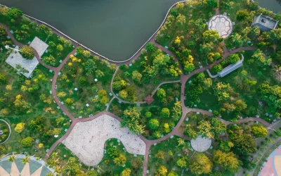 Los beneficios del paisajismo sostenible en proyectos de construcción